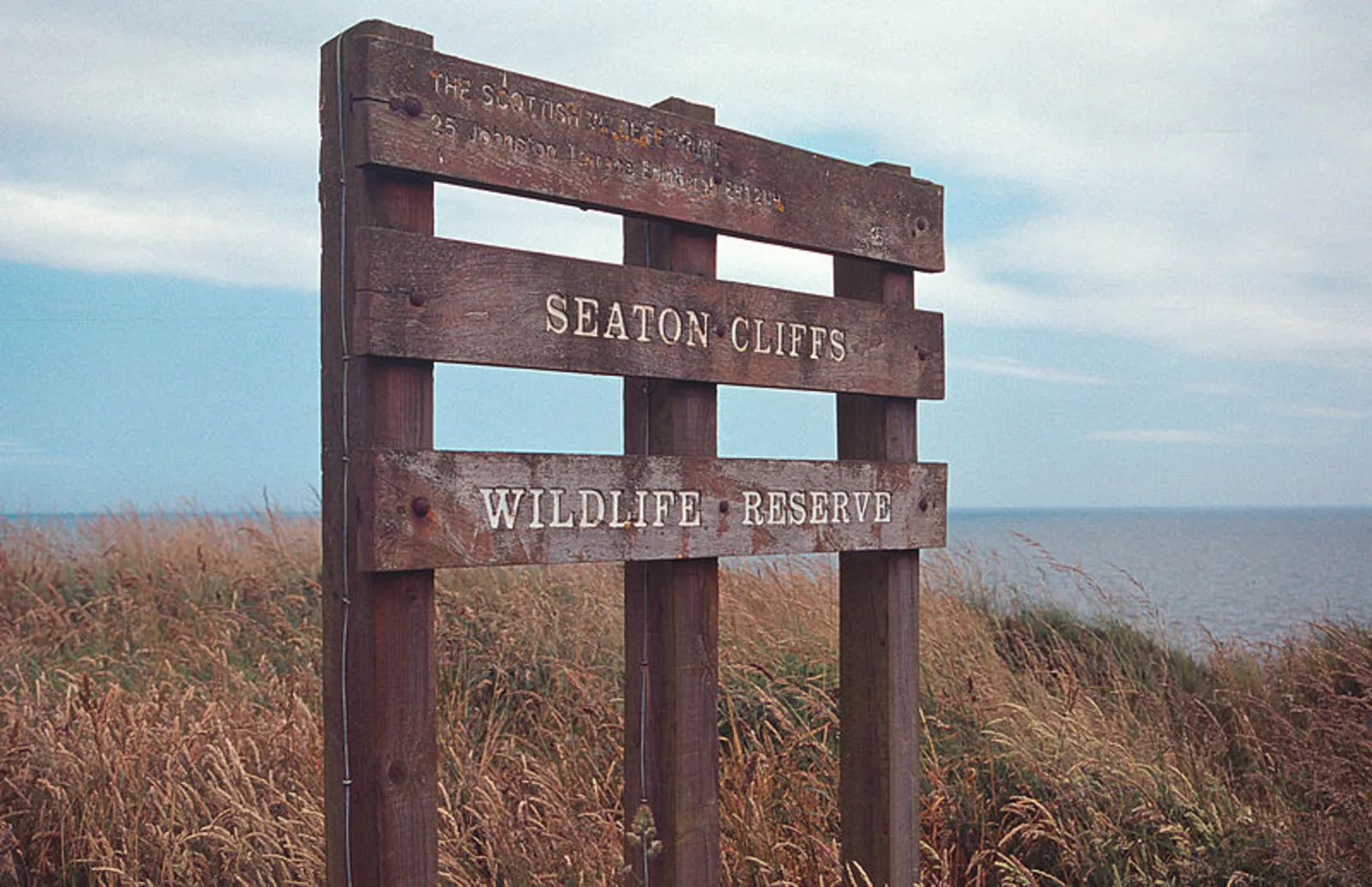 An image depicting the trail Arbroath to Auchmithie Coastal Path and its surrounding area.