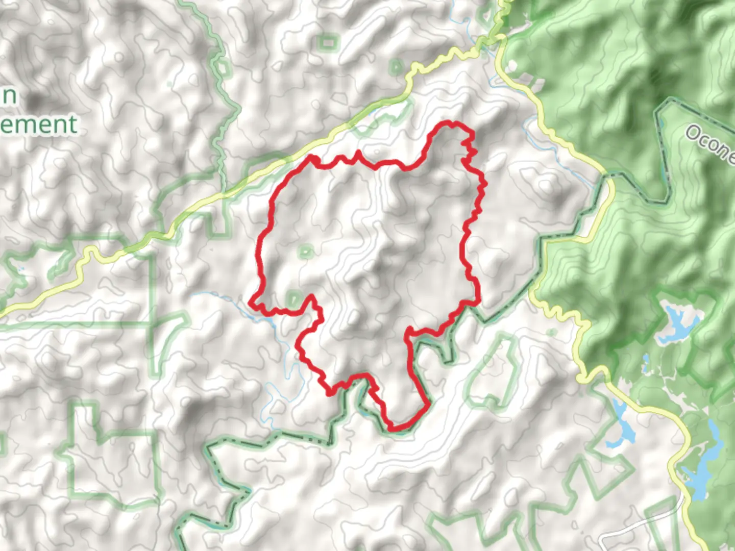An image depicting the trail Willis Knob Horse Loop Trail and its surrounding area.