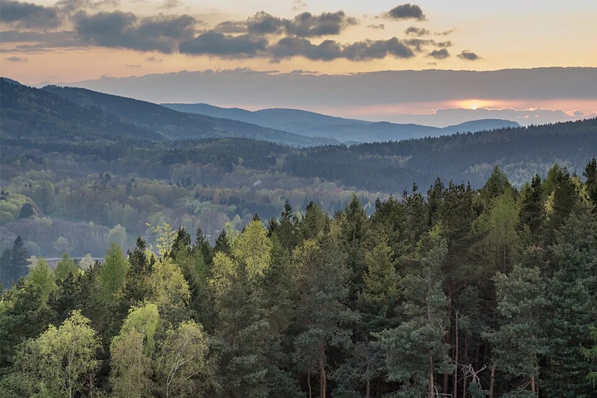 Rurtal mit den Felsbildungen der Uhusley Loop - Hammer