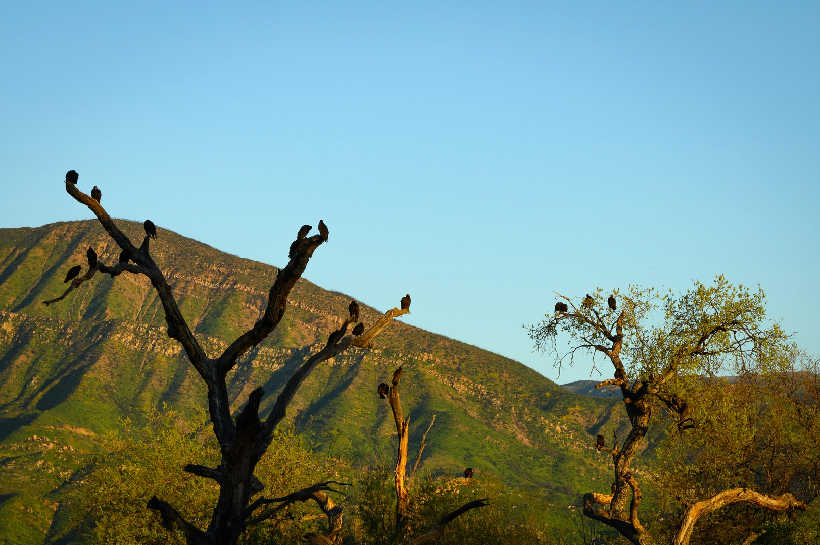 An image depicting the trail Maricopa Road Walk and its surrounding area.