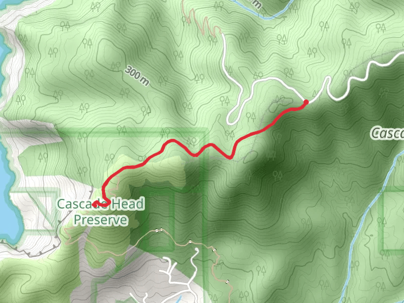 Cascade Head Trail