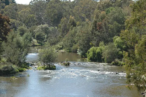 An image depicting the trail Mullum Walking Route and its surrounding area.