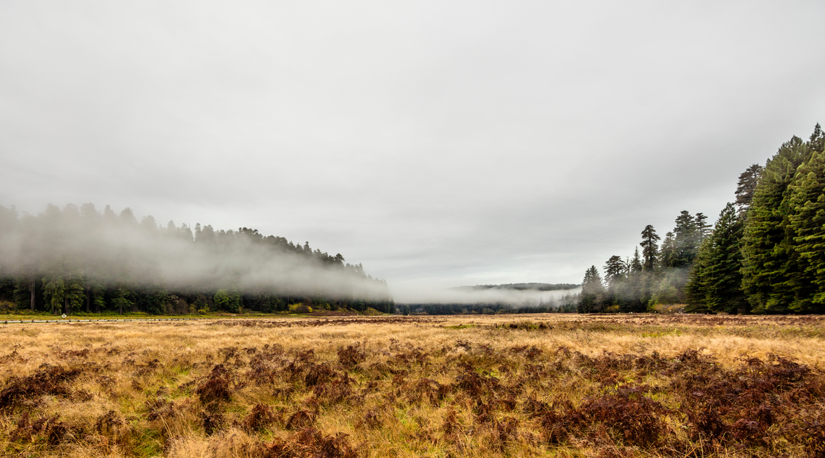 James Irvine Loop Trail