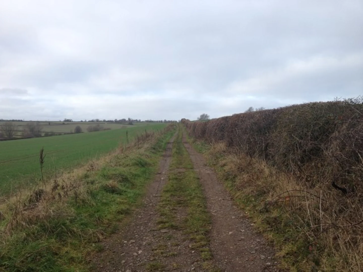 An image depicting the trail The Langtons from Stonton Wyville and its surrounding area.
