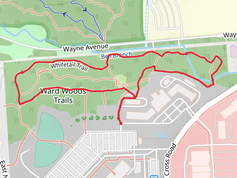 Ward Woods Loop