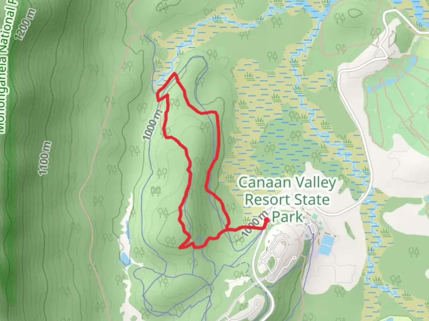 An image depicting the trail Middle Ridge Trail from WV Dept Natural Resources Road and its surrounding area.