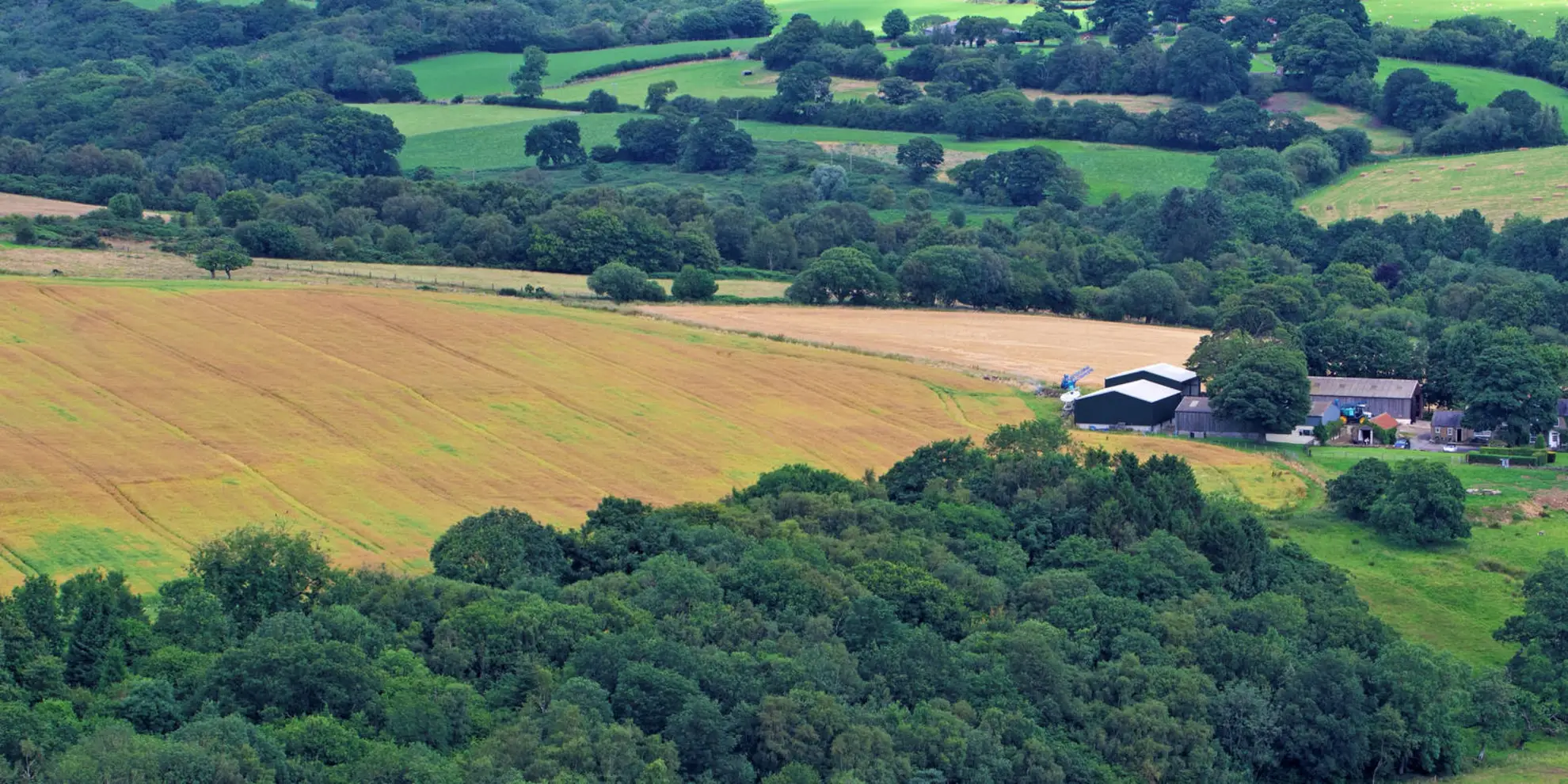 An image depicting the trail Broxa and Broxa Forest and its surrounding area.
