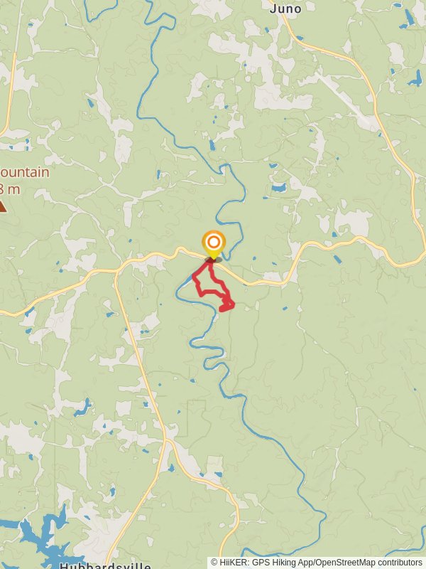 Amicalola Creek Boardwalk - Amicalola Interpretive Loop