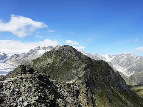 Aletsch Glacier from Eggishorn