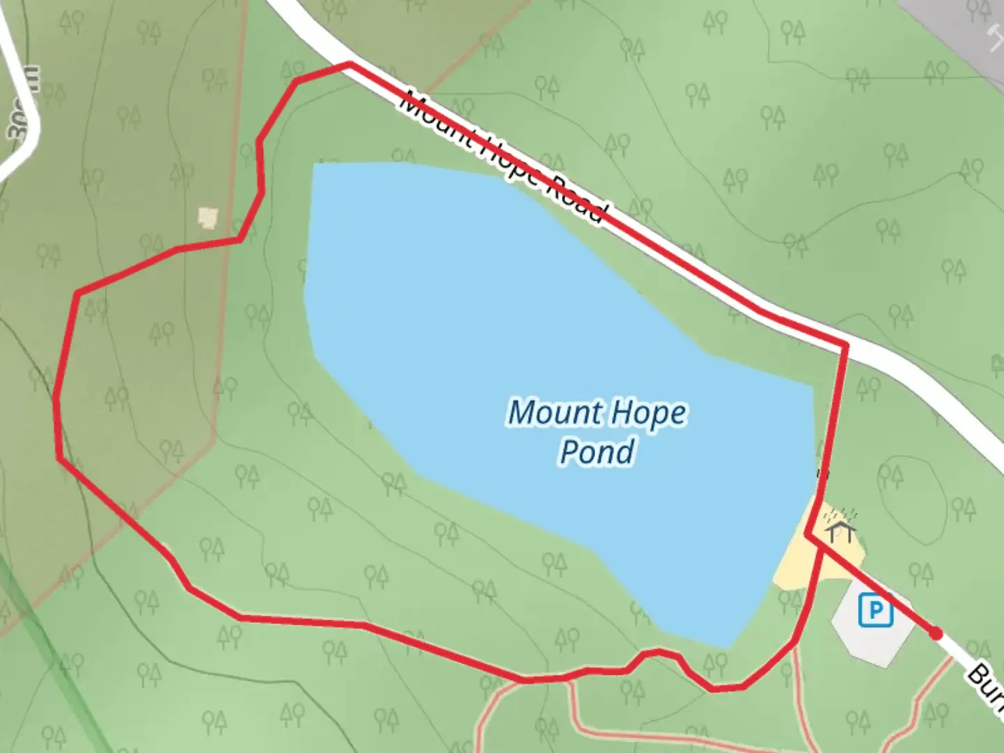 An image depicting the trail Mount Hope Pond Loop and its surrounding area.