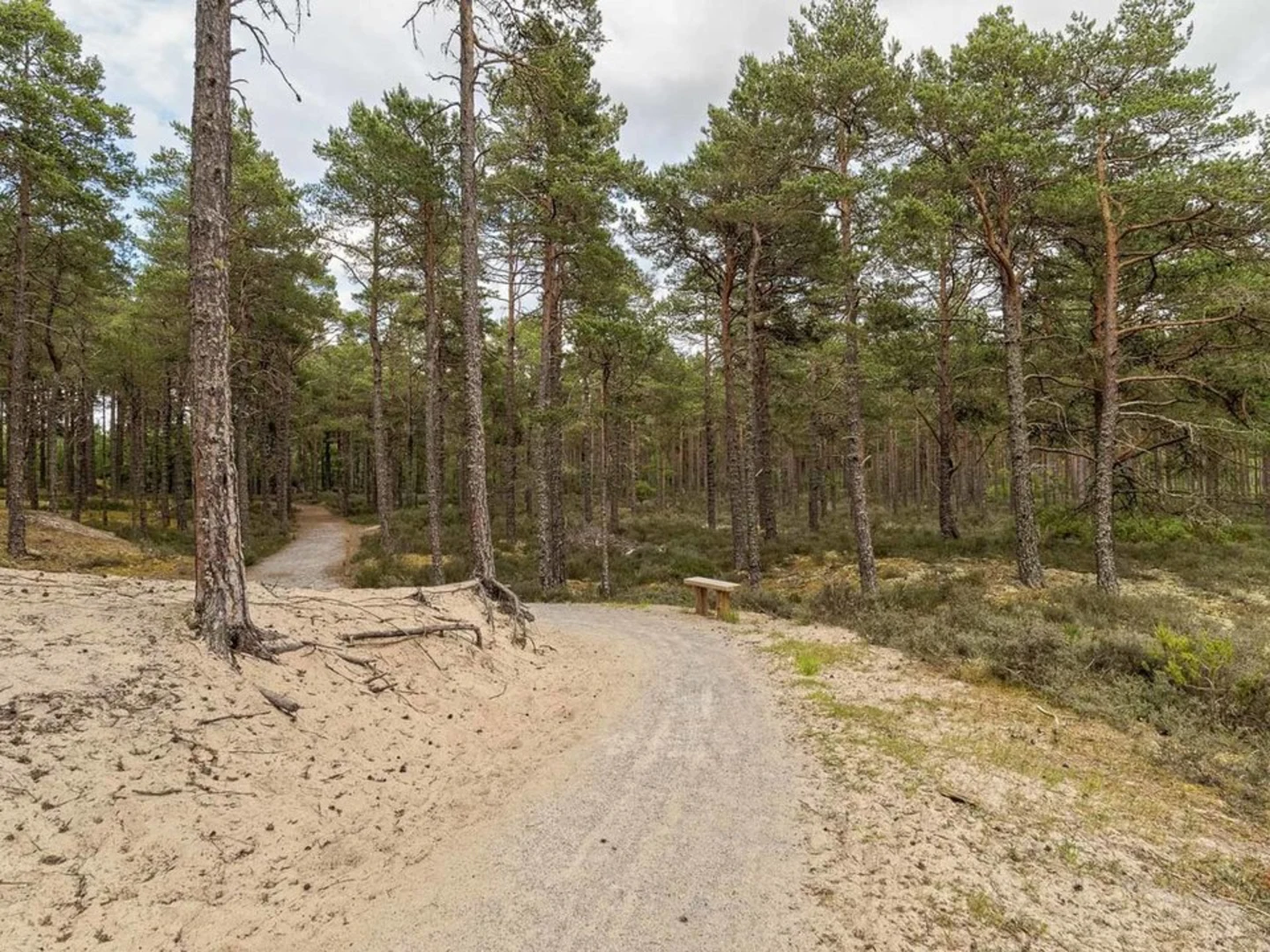 An image depicting the trail Gravel Pit Ponds Trail and its surrounding area.