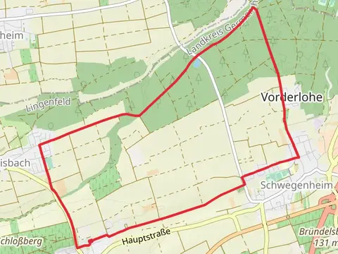 Weingarten to Vorderlohe Loop