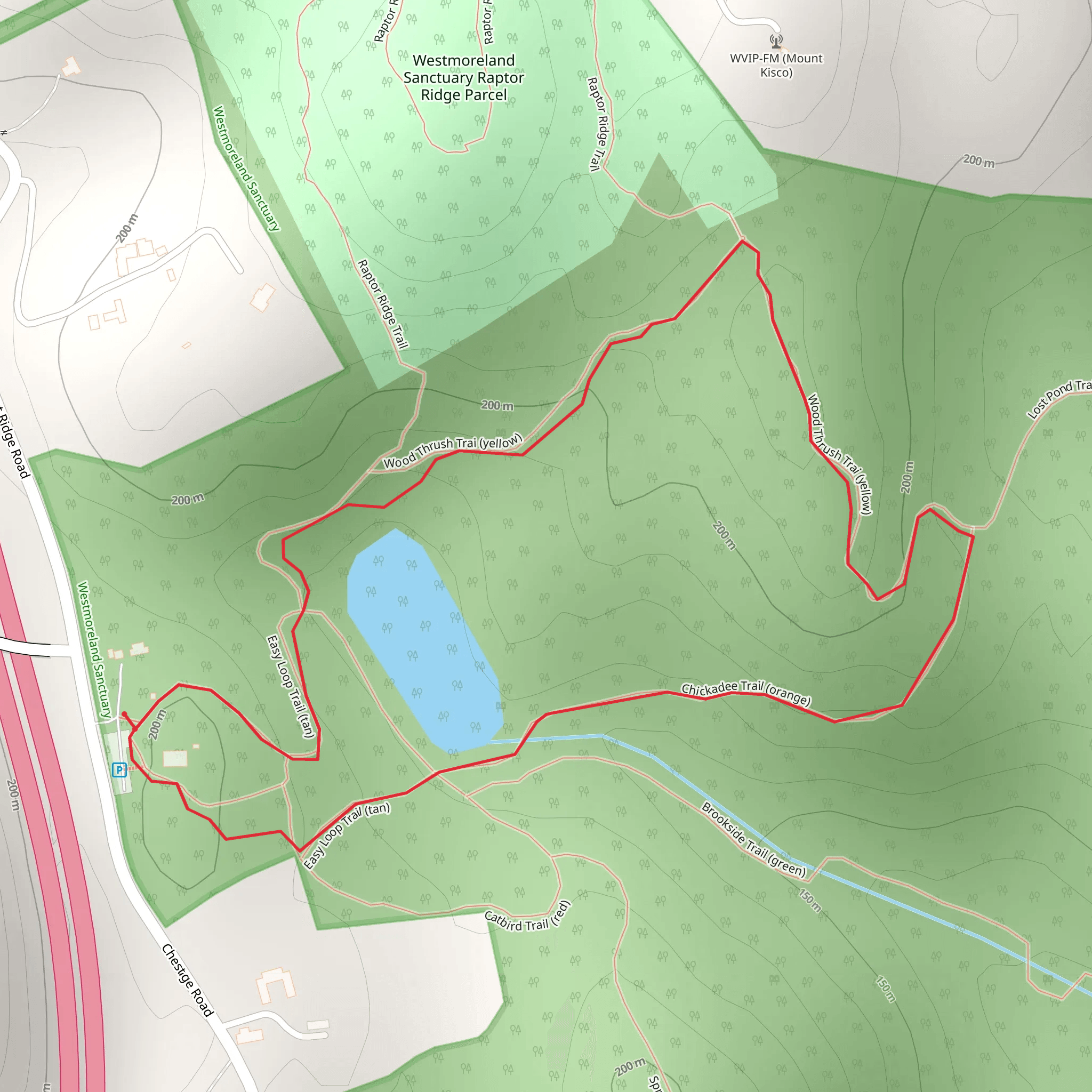 Wood Thrush Trai - Yellow mobile static map