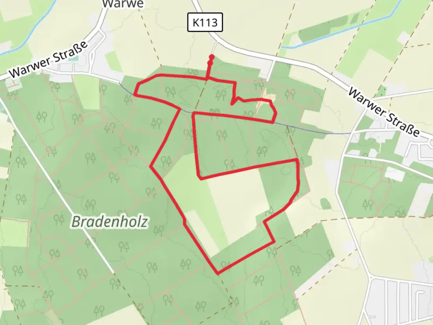 An image depicting the trail Bradenholz Loop and its surrounding area.