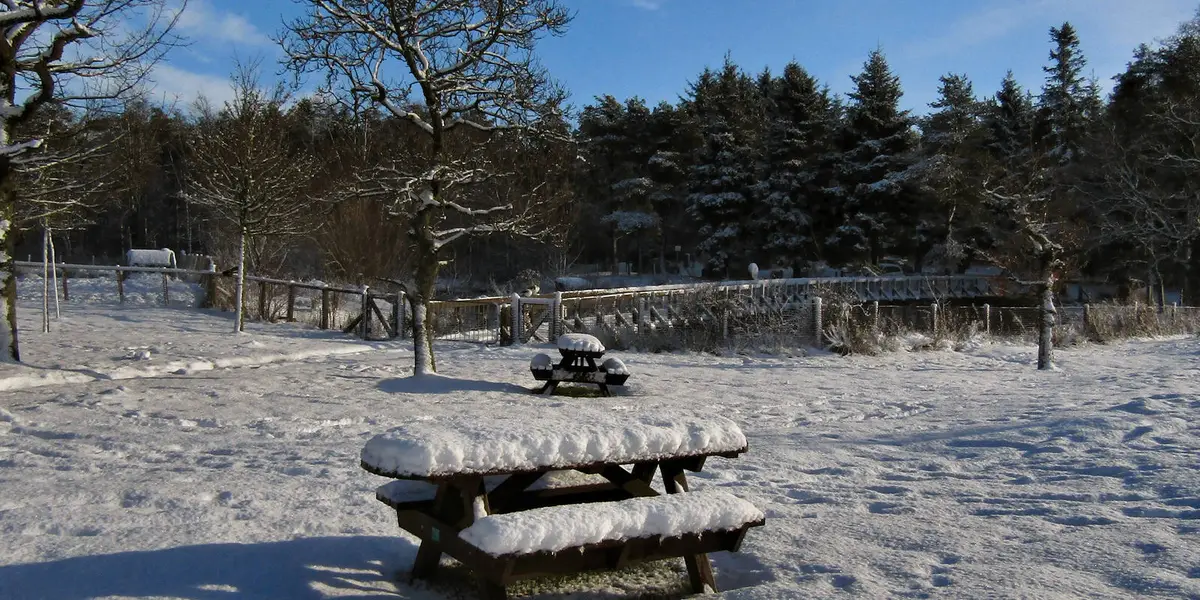 Palacerigg Country Park - Cumbernauld