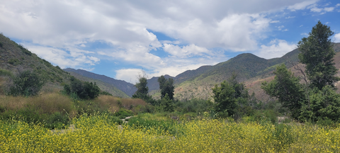 An image depicting the trail Ridge Canyon Access Trail and its surrounding area.