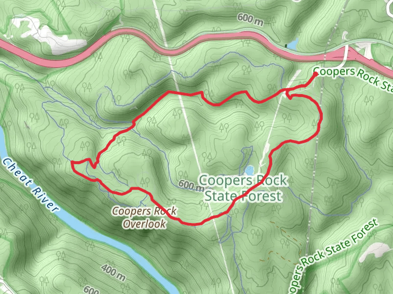 Parking Area, Rock City and Roadside Loop Trail