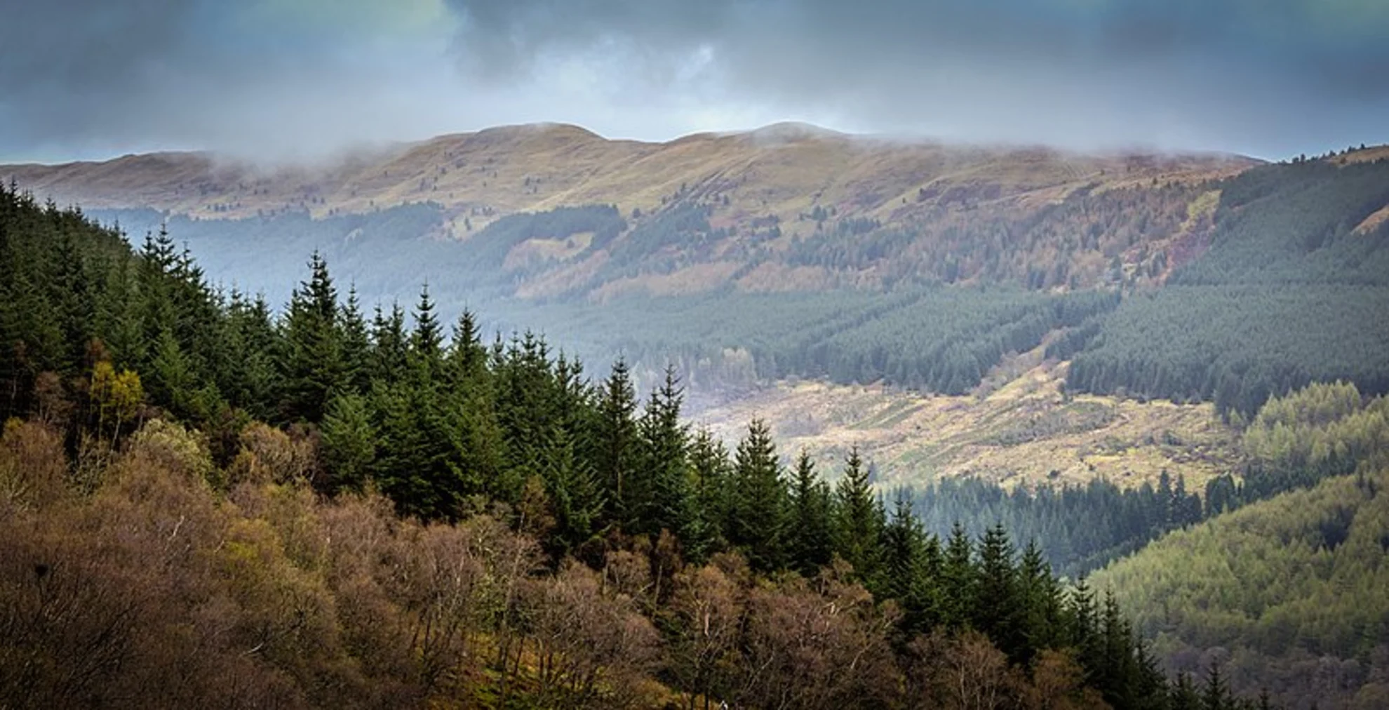 An image depicting the trail Callander - Samson's Stone and Coilhallan Wood and its surrounding area.