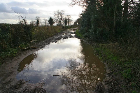 Kimberley Country Park Loop