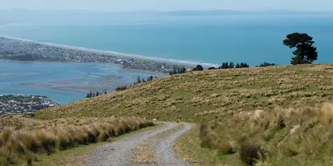 An image depicting the trail Pegasus Bay Walkway and its surrounding area.