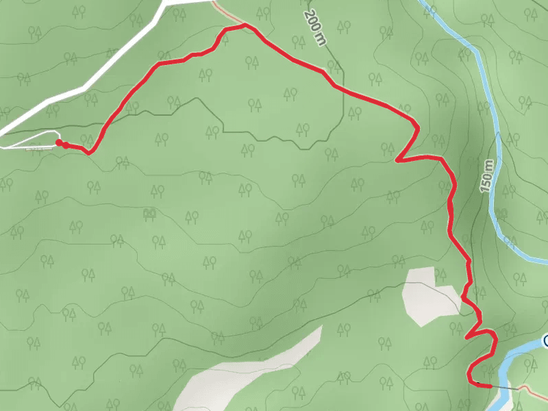 Glacier Creek via Winner Creek Trail