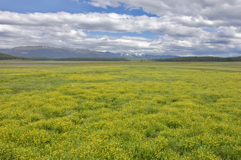 An image depicting the trail Third Divide Trail and its surrounding area.