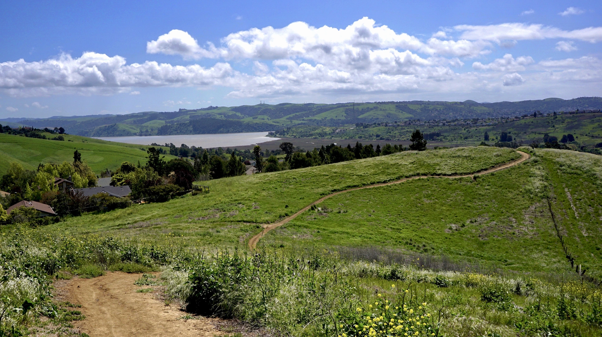 An image depicting the trail Vallejo - Benicia Buffer Trail and its surrounding area.