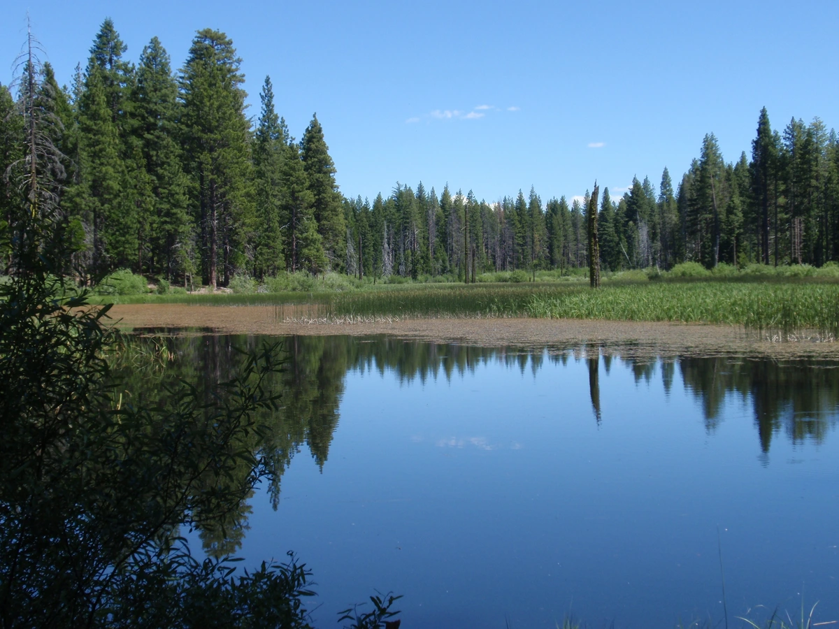 Madora Lake Loop Trail