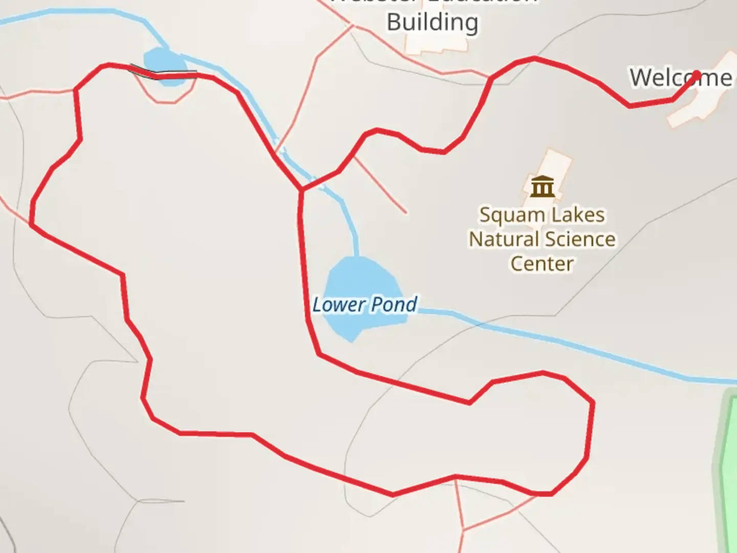 An image depicting the trail Holderness - Lower Pond Loop Trail and its surrounding area.