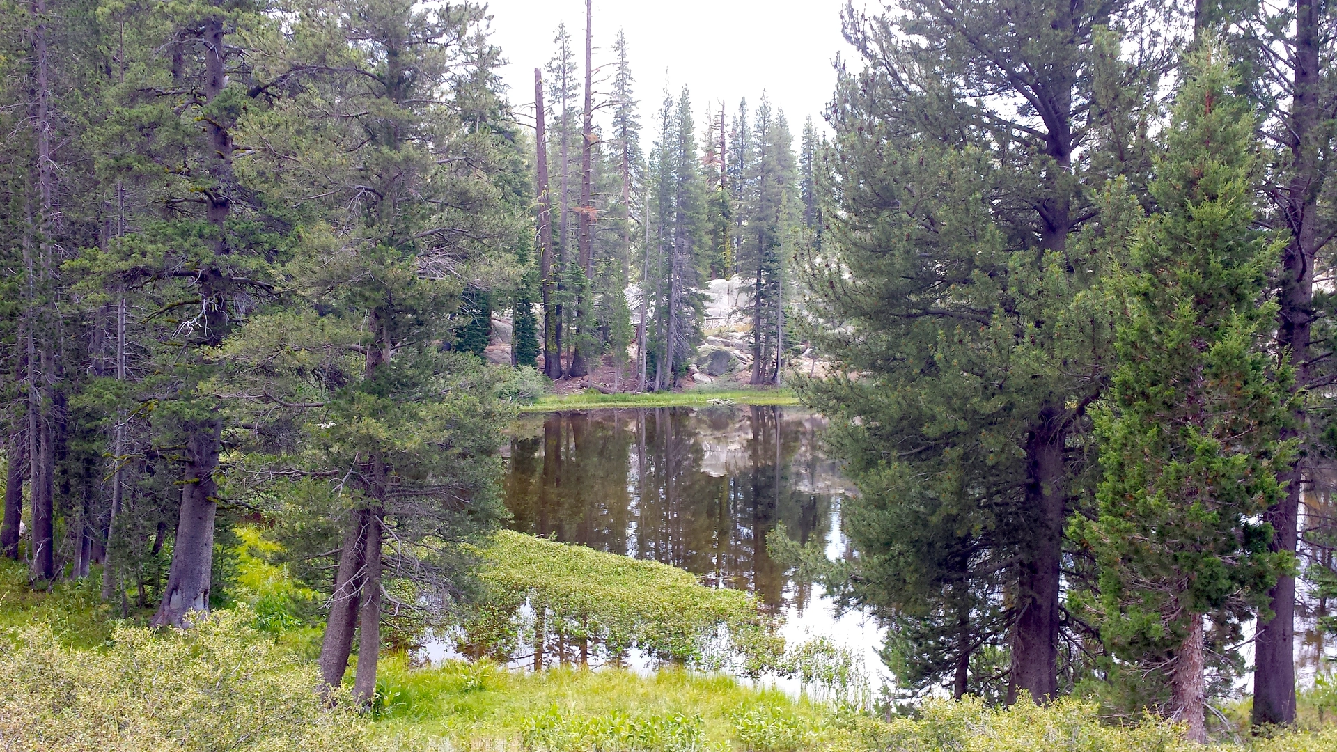 An image depicting the trail Disaster Creek Trail and its surrounding area.