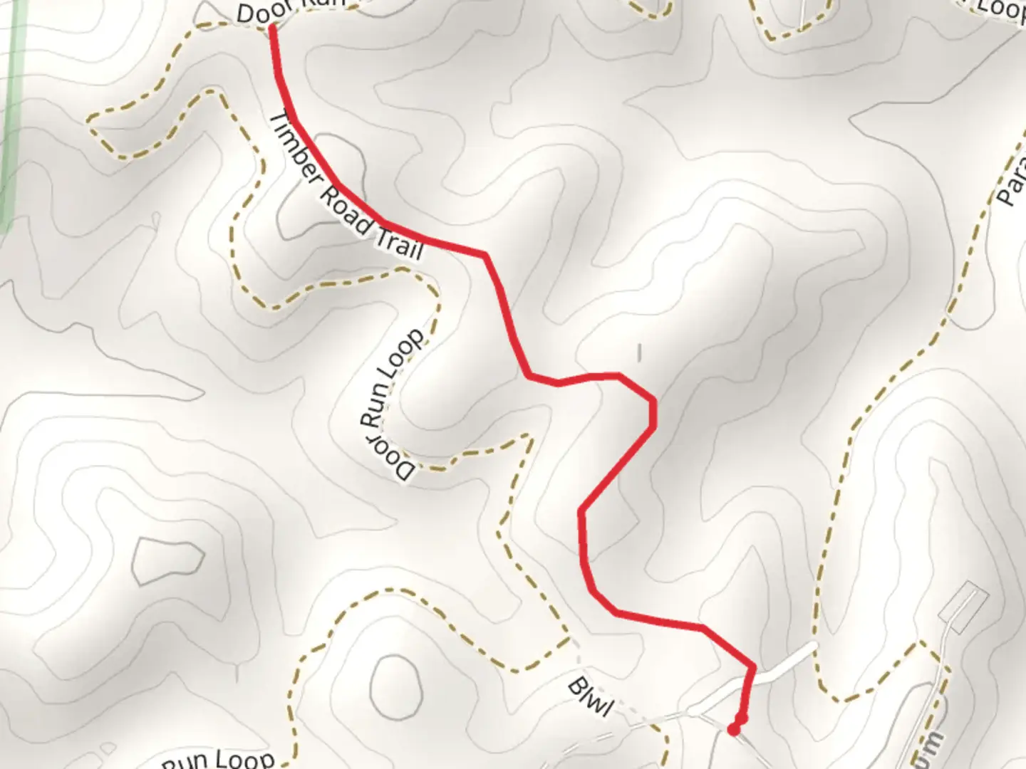 An image depicting the trail Dorr Run - Timber Road Trail and its surrounding area.