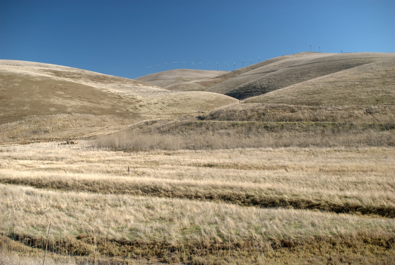 An image depicting the trail Laughlin Loop - Tamcan - Brushy Peak - West Side Trail and its surrounding area.