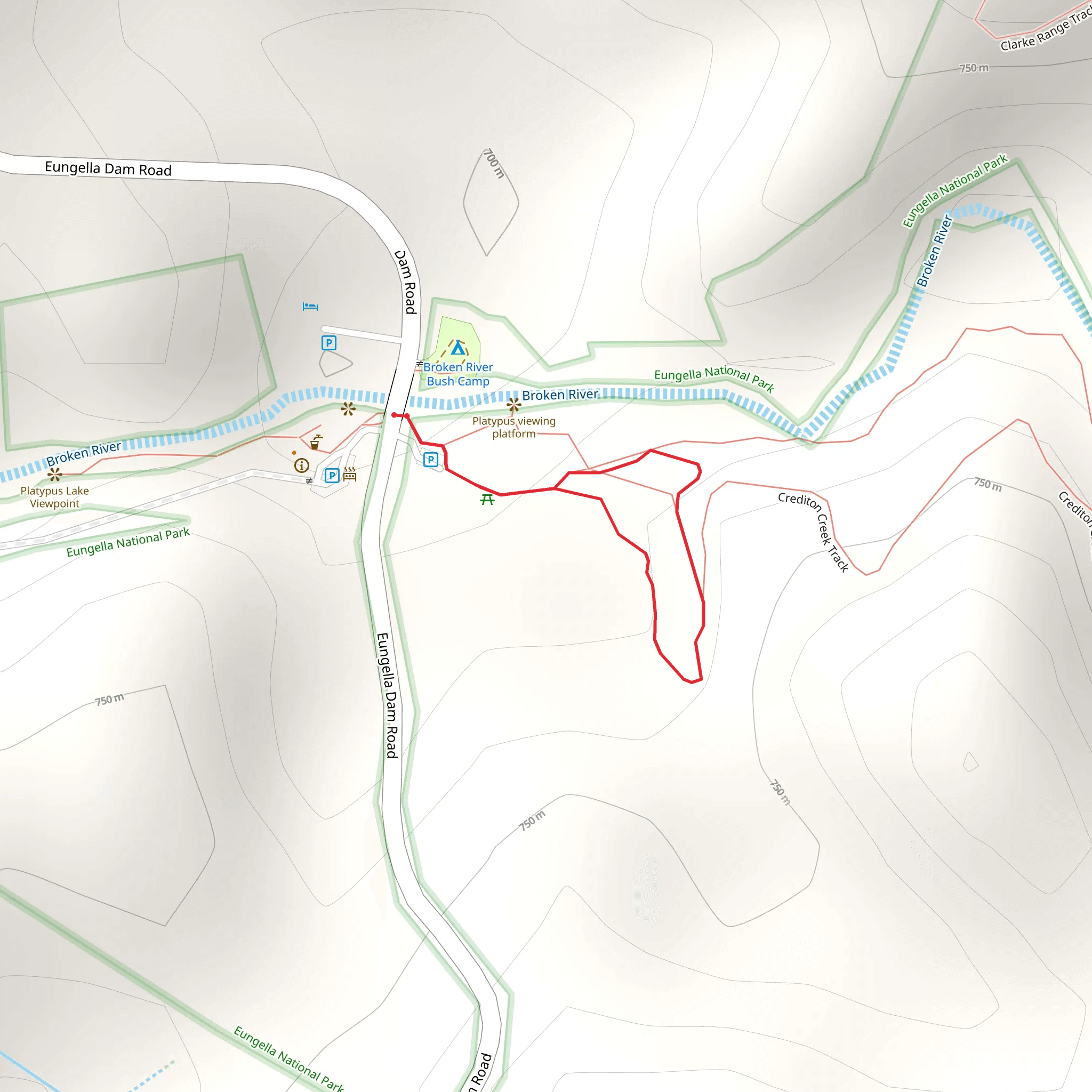 Rainforest Discovery Circuit Walk mobile static map