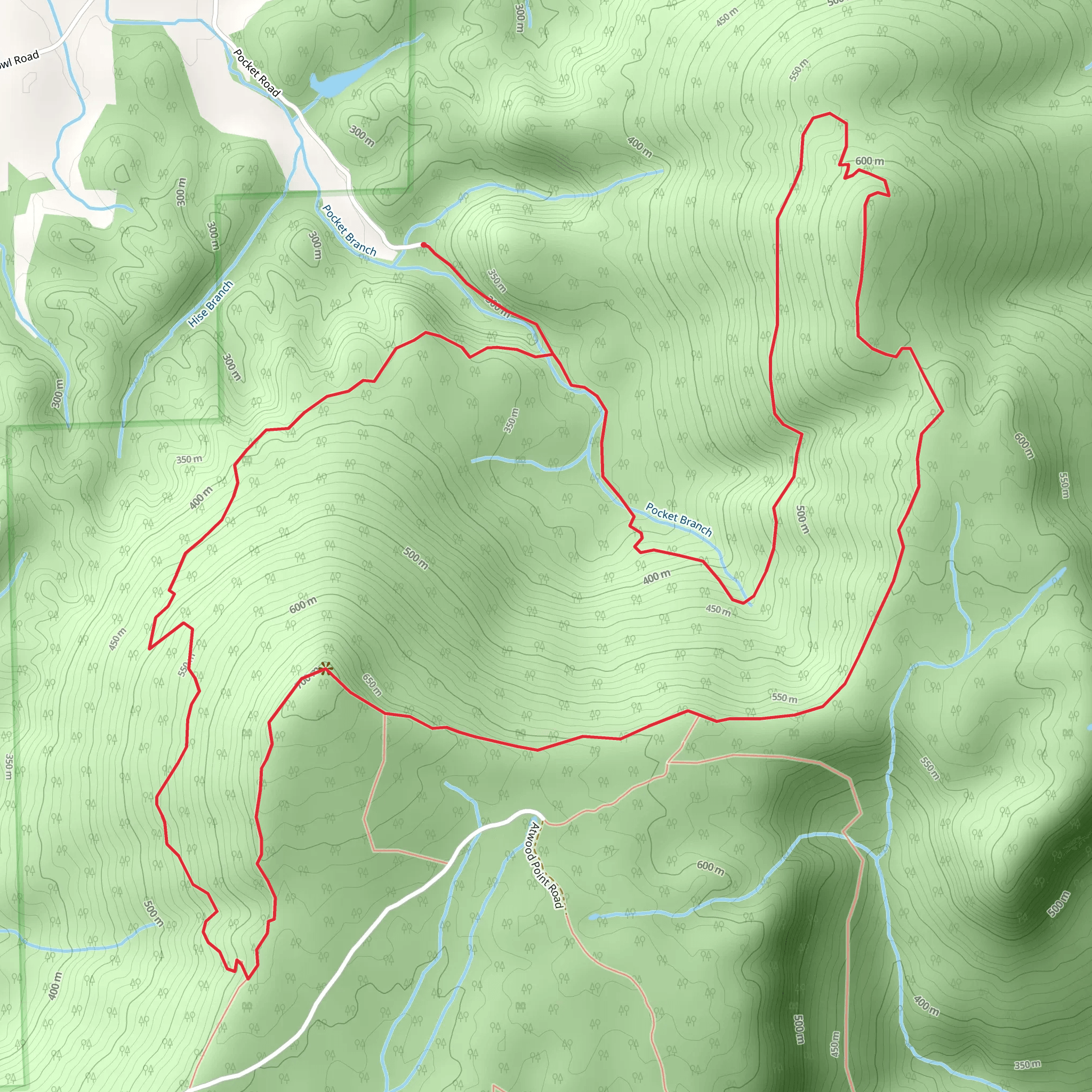 Pocket Branch Loop mobile static map