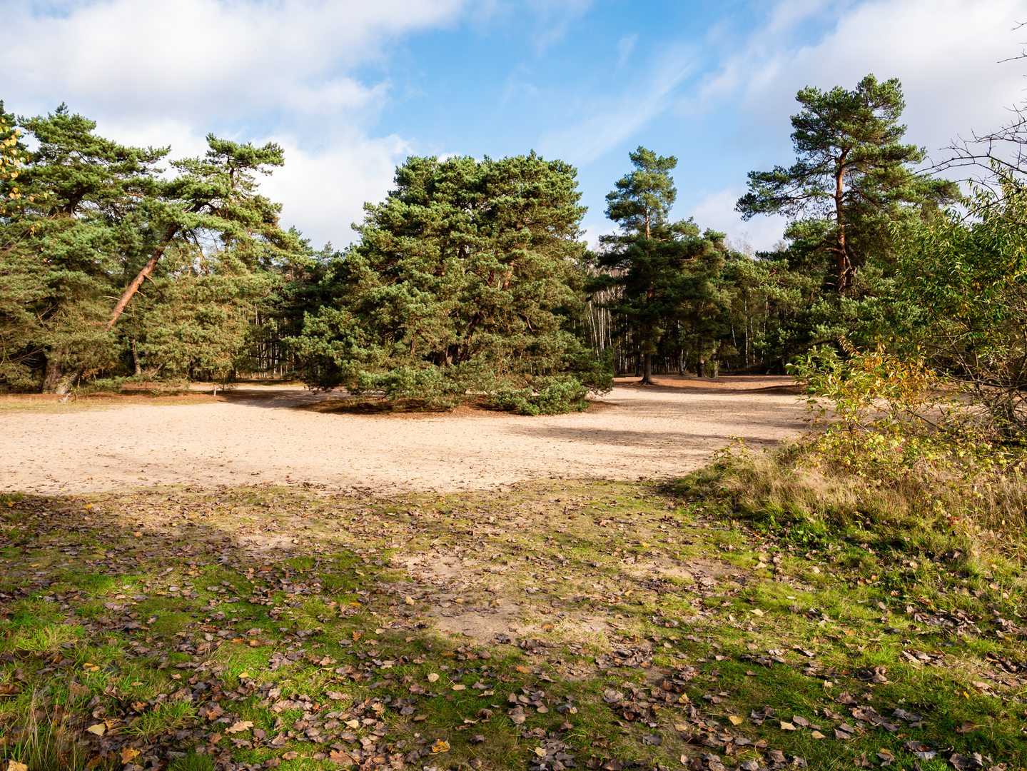 An image depicting the trail Hazelbekke and Roezeberg via Denekamper Weg and its surrounding area.