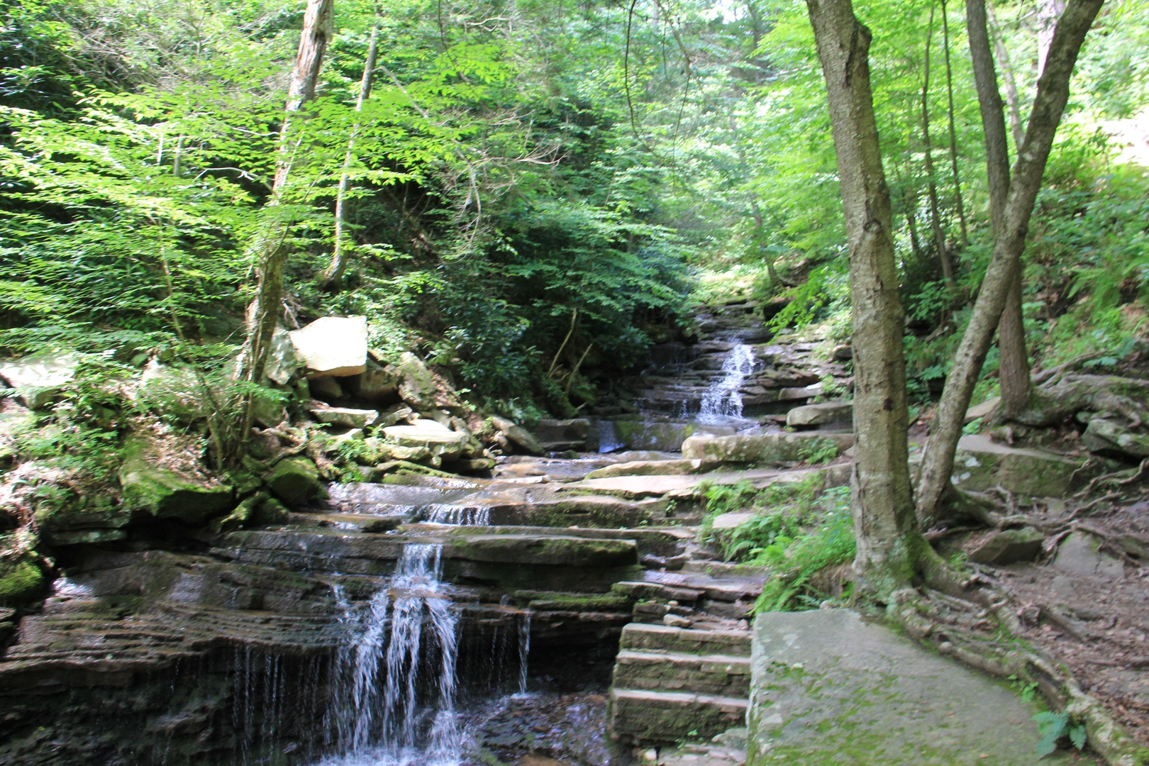 An image depicting the trail Great Trough Creek and its surrounding area.