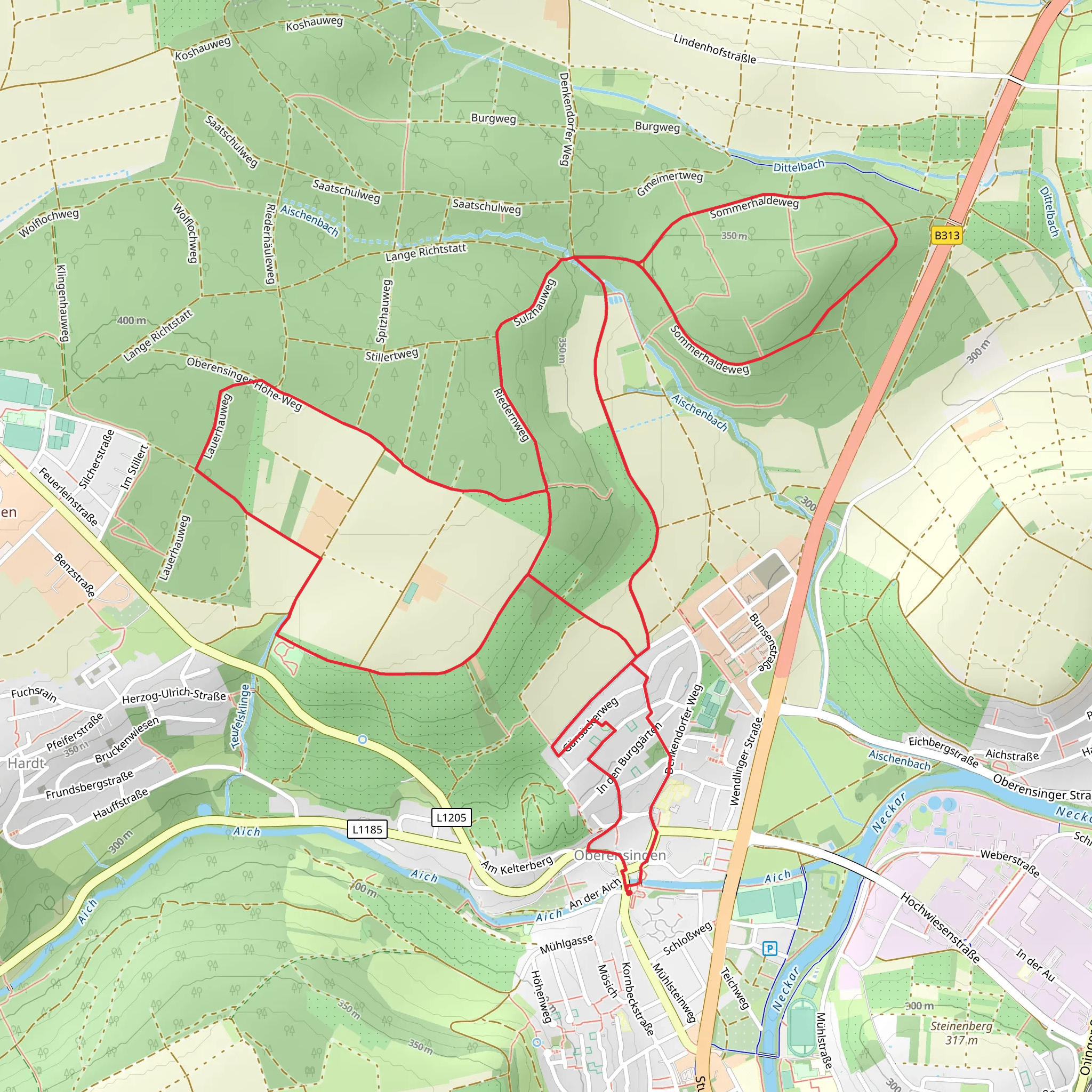 Riederweg and Sommernaldweg Loop mobile static map