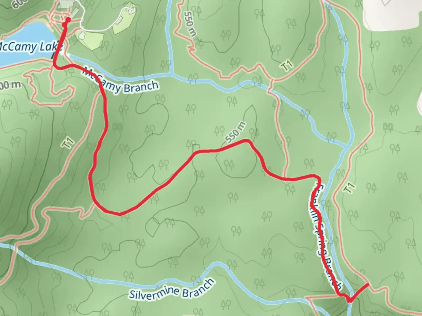 An image depicting the trail McCamy Lake and Benton Falls and its surrounding area.