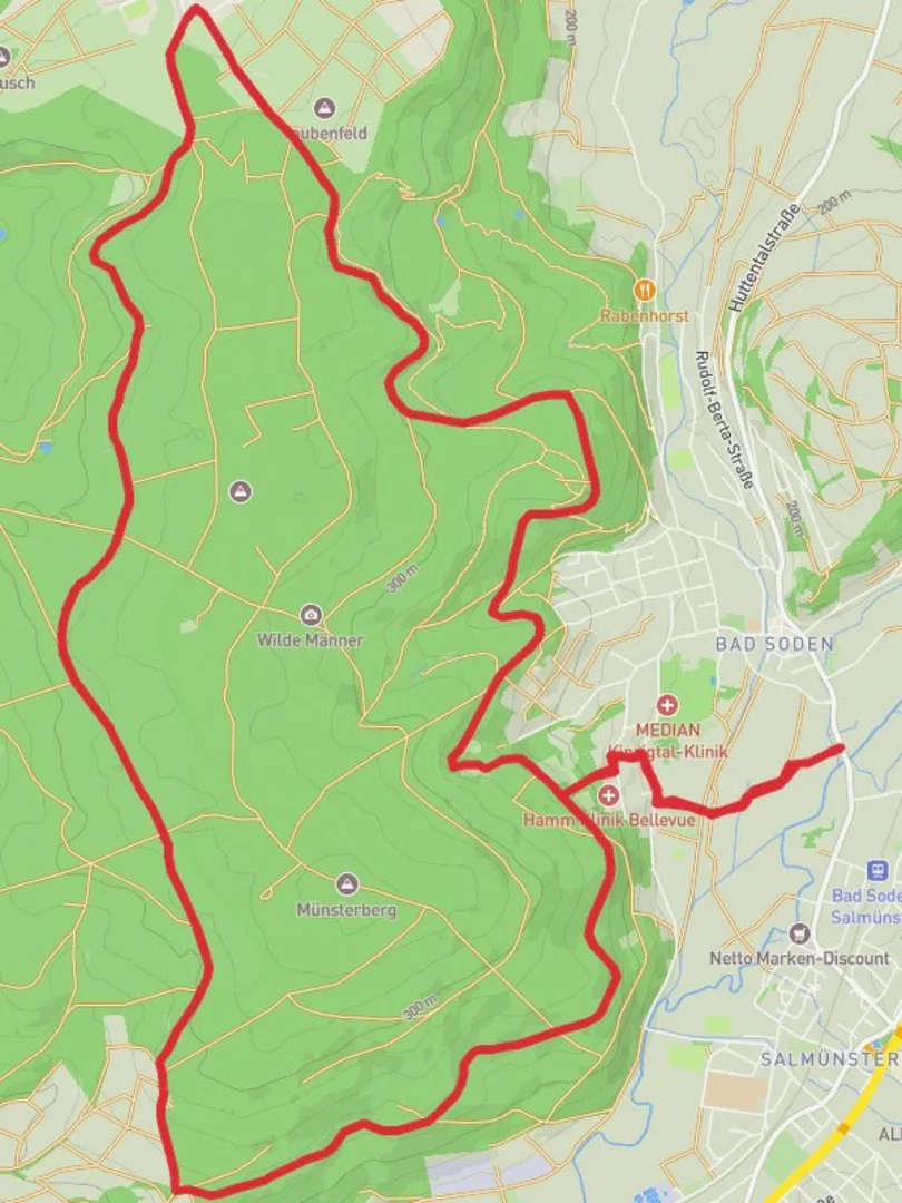 An image depicting the trail Bad Soden Loop via Reutzenberg and its surrounding area.