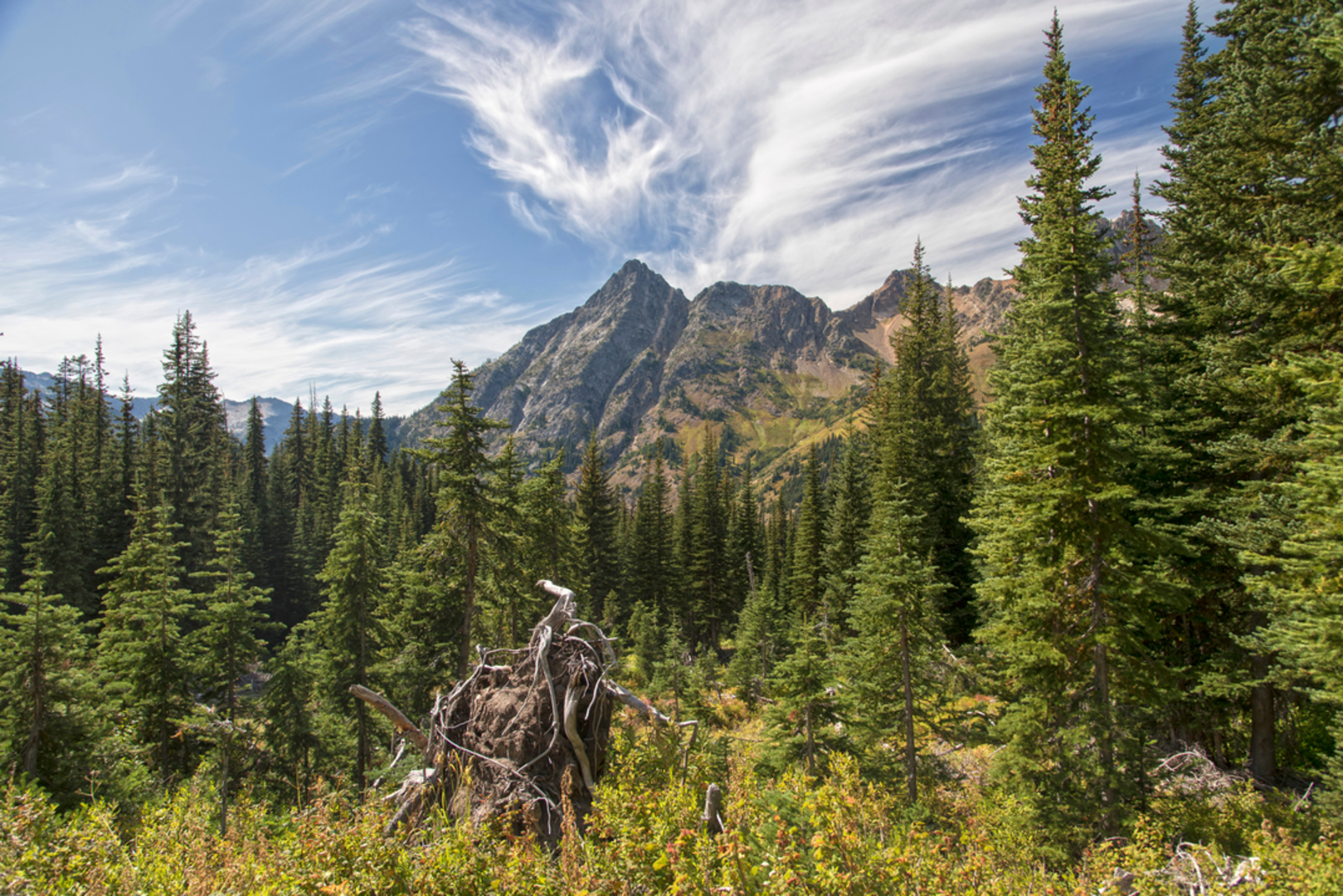 An image depicting the trail McAlester Creek via Bridge Creek Trail and its surrounding area.