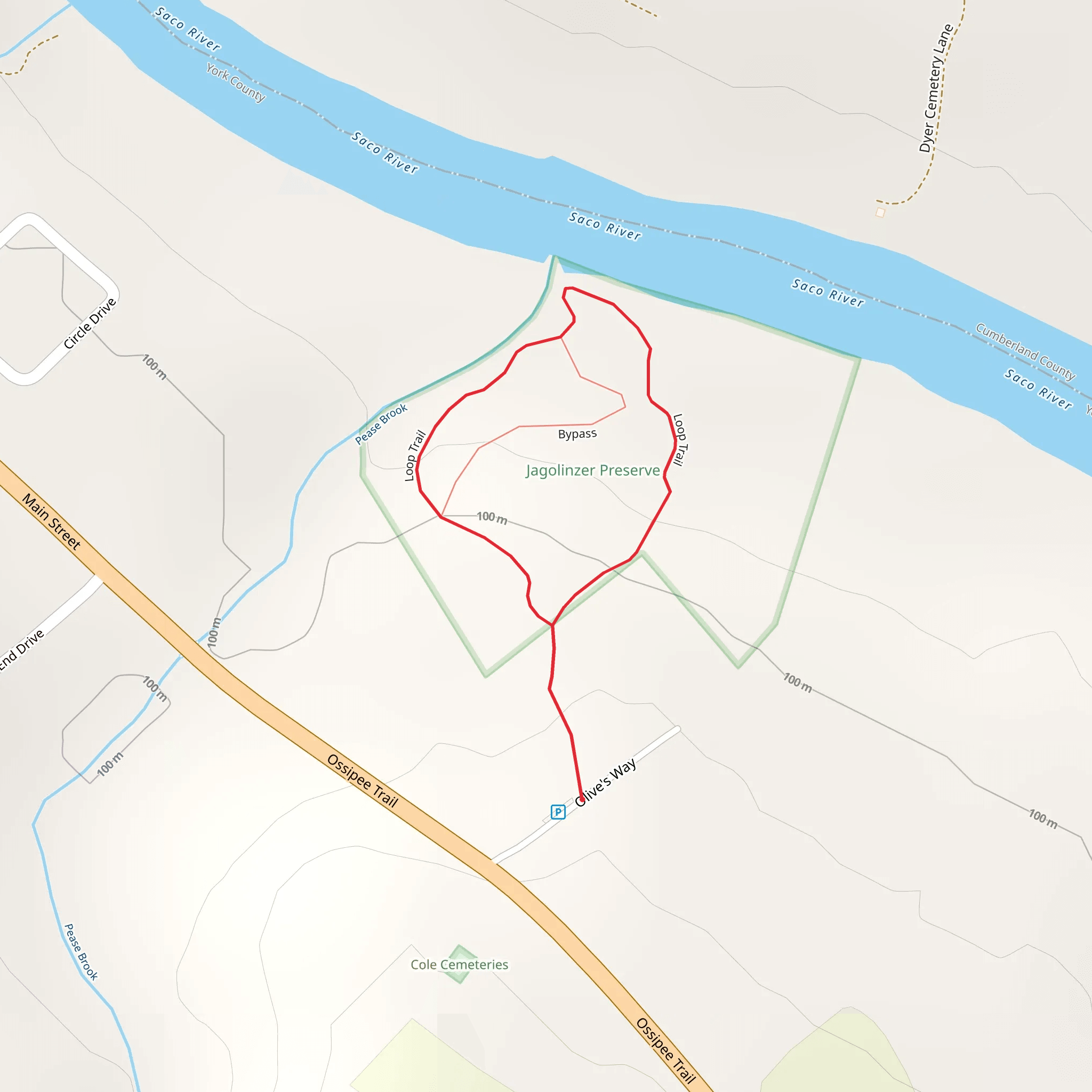 Saco River from Olive's Way mobile static map