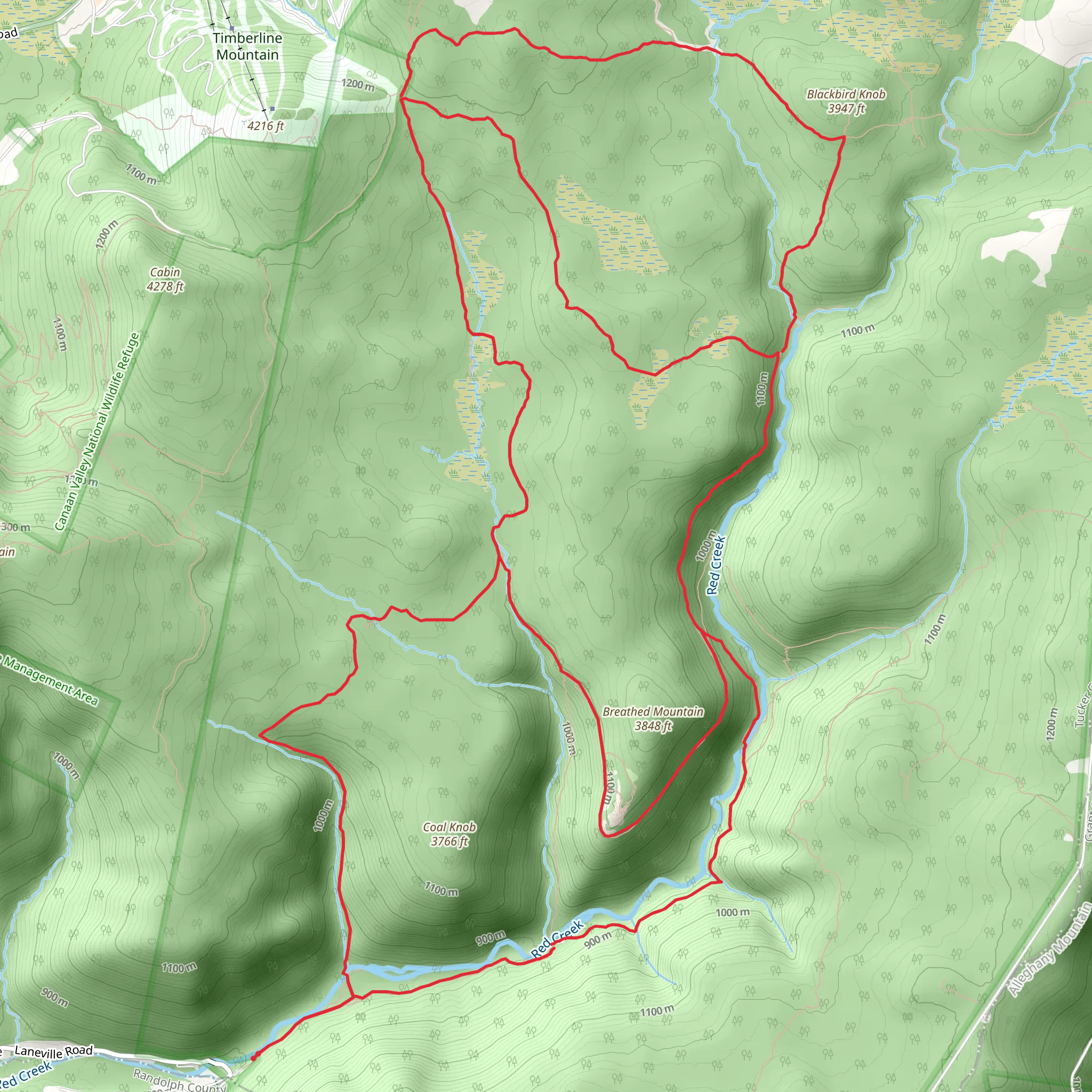 Dolly Sods Wilderness South Loop mobile static map