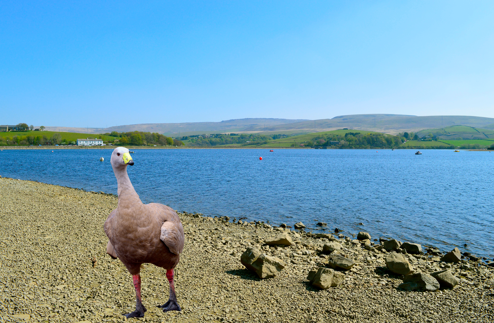An image depicting the trail Aiggin Stone Amble and its surrounding area.