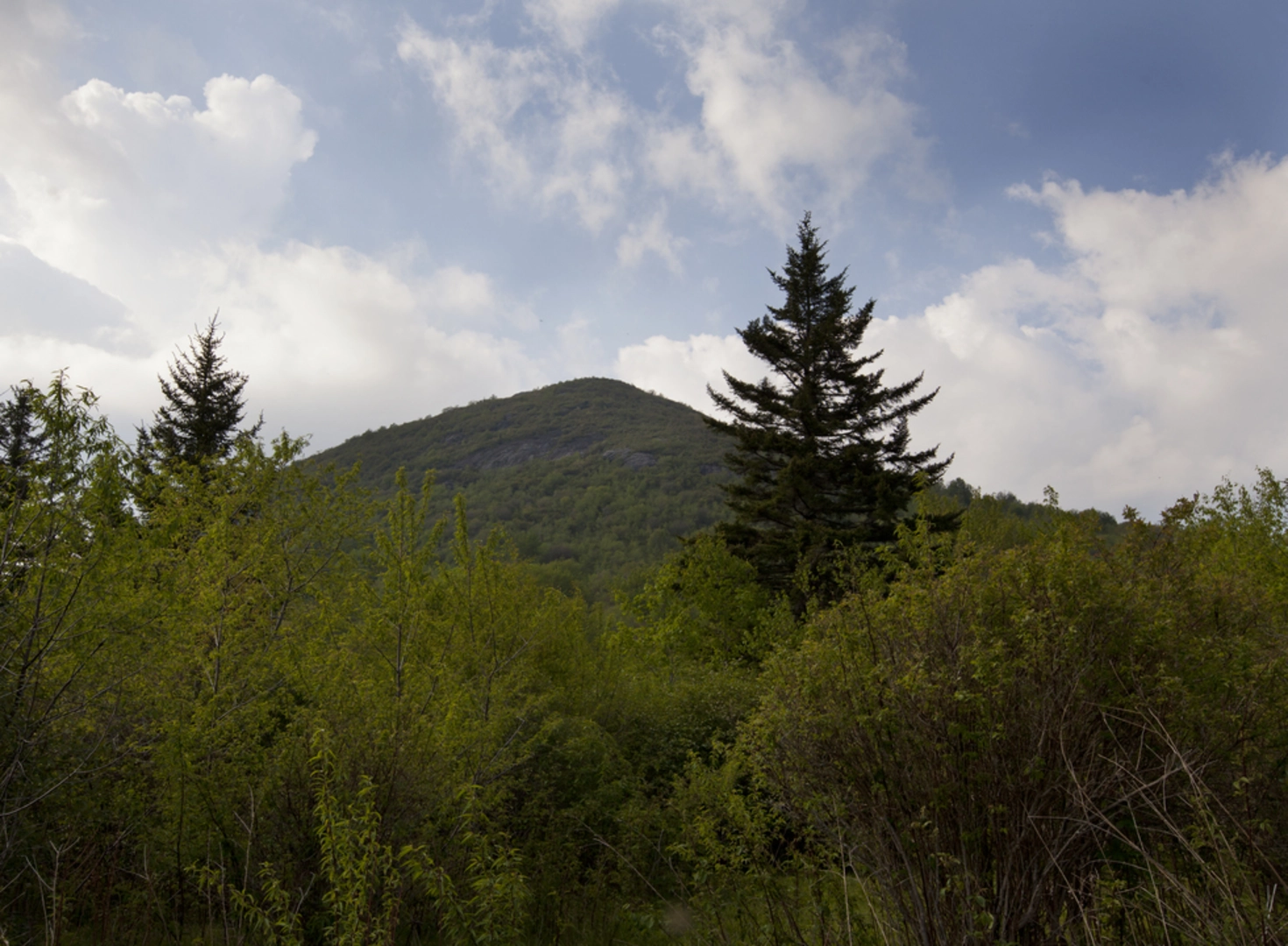 An image depicting the trail Flat Laurel Creek Trail and its surrounding area.