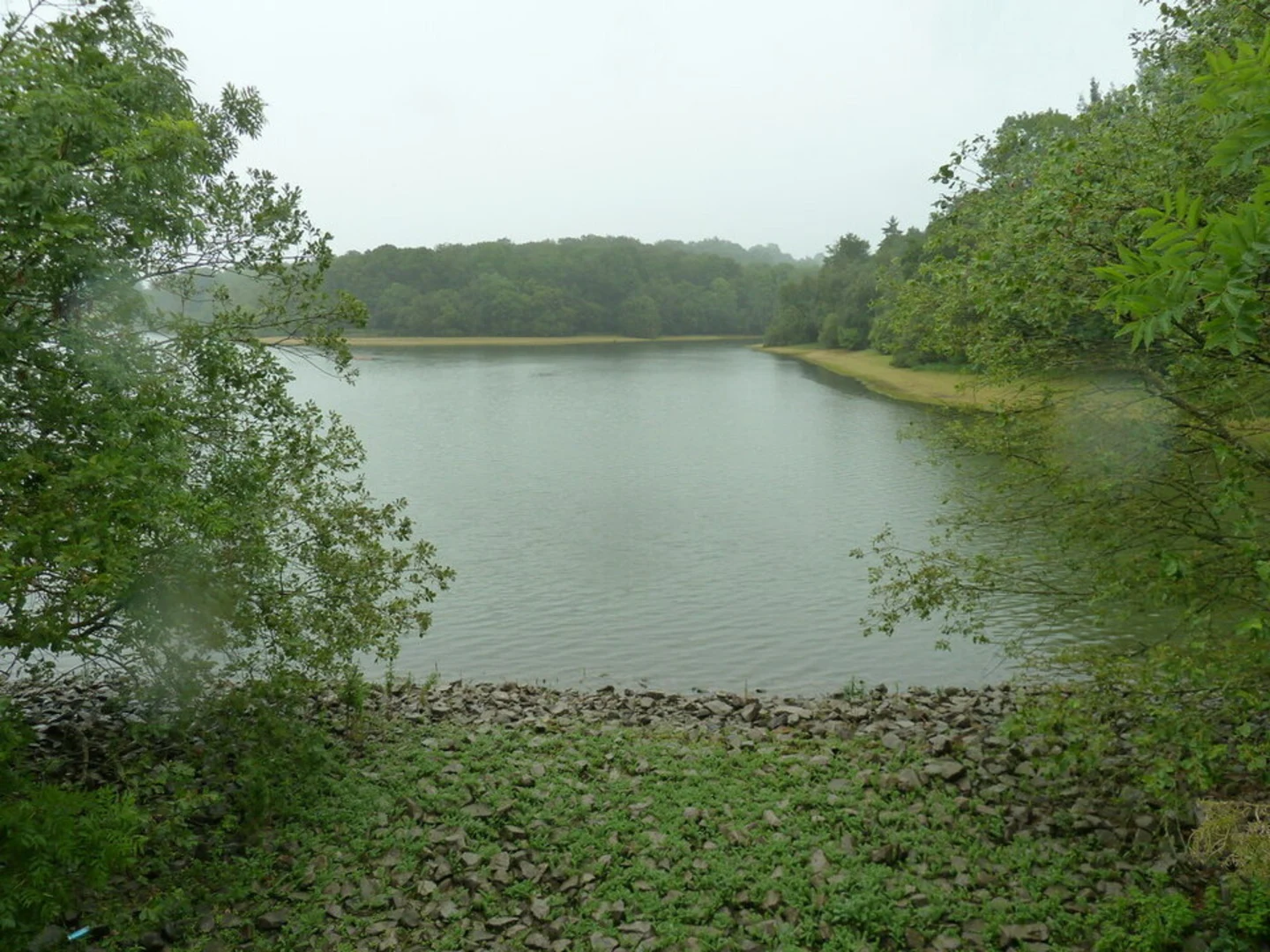 An image depicting the trail Ardingly Reservoir Walk and its surrounding area.