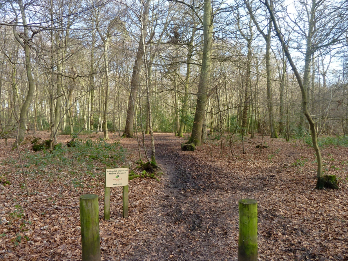 Bovingdon Green Loop