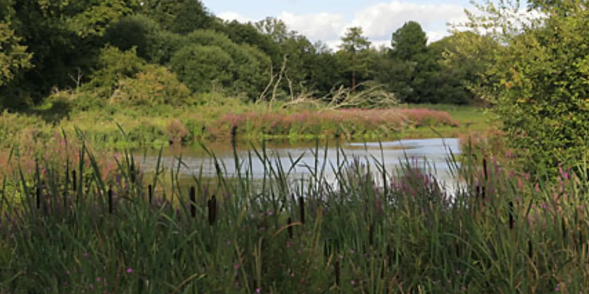 An image depicting the trail River Itchen Circular Walk - 1 and its surrounding area.