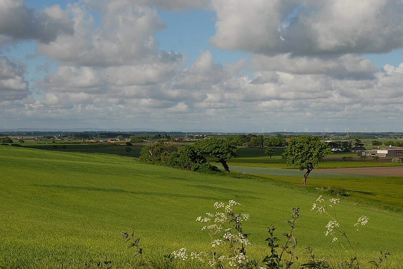 An image depicting the trail Gaw Hill and Clieves Hills Loop and its surrounding area.