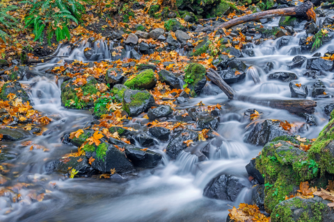 An image depicting the trail Warren Lake Trail and its surrounding area.