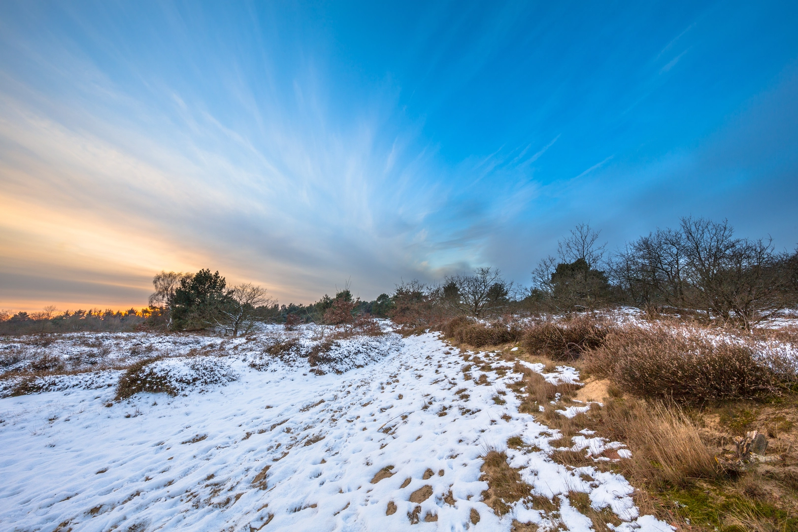 An image depicting the trail Gasterse Duinen, Achter t Veen and Ubbinksbos Grafheuvels Loop and its surrounding area.